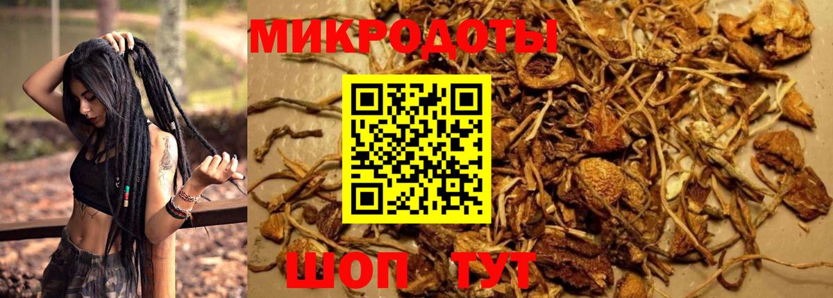 Белогорск  Псилоцибиновые грибы Psilocybine cubensis  Вход с VPN 